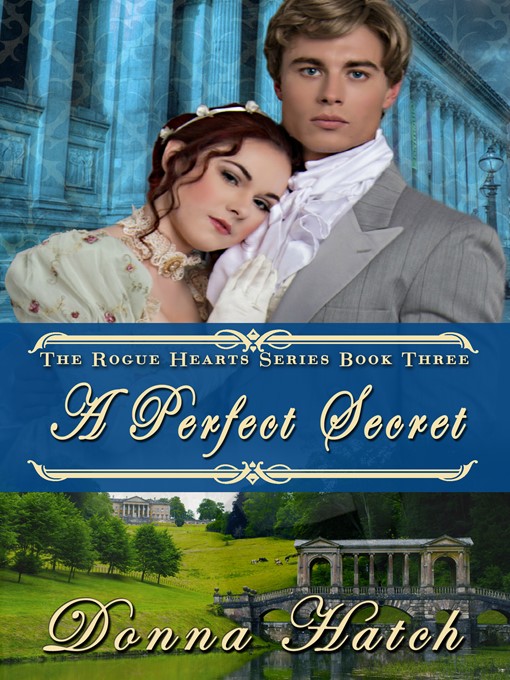 Title details for A Perfect Secret by Donna Hatch - Wait list